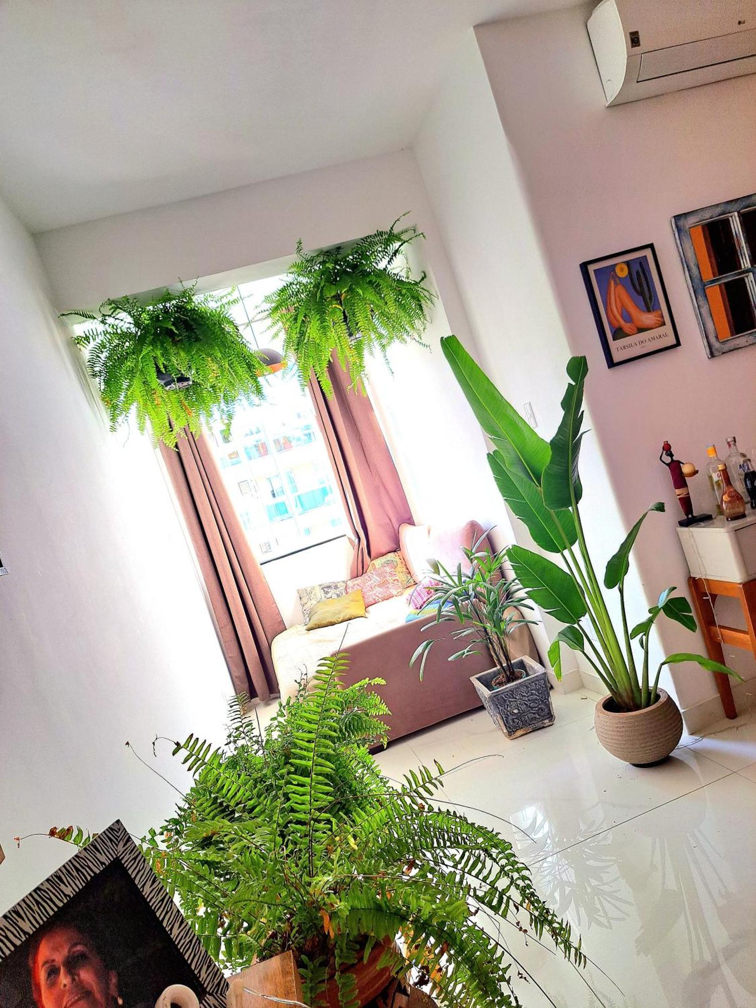 Quarto Com Anfitriao Rj Rio de Janeiro Ngoại thất bức ảnh